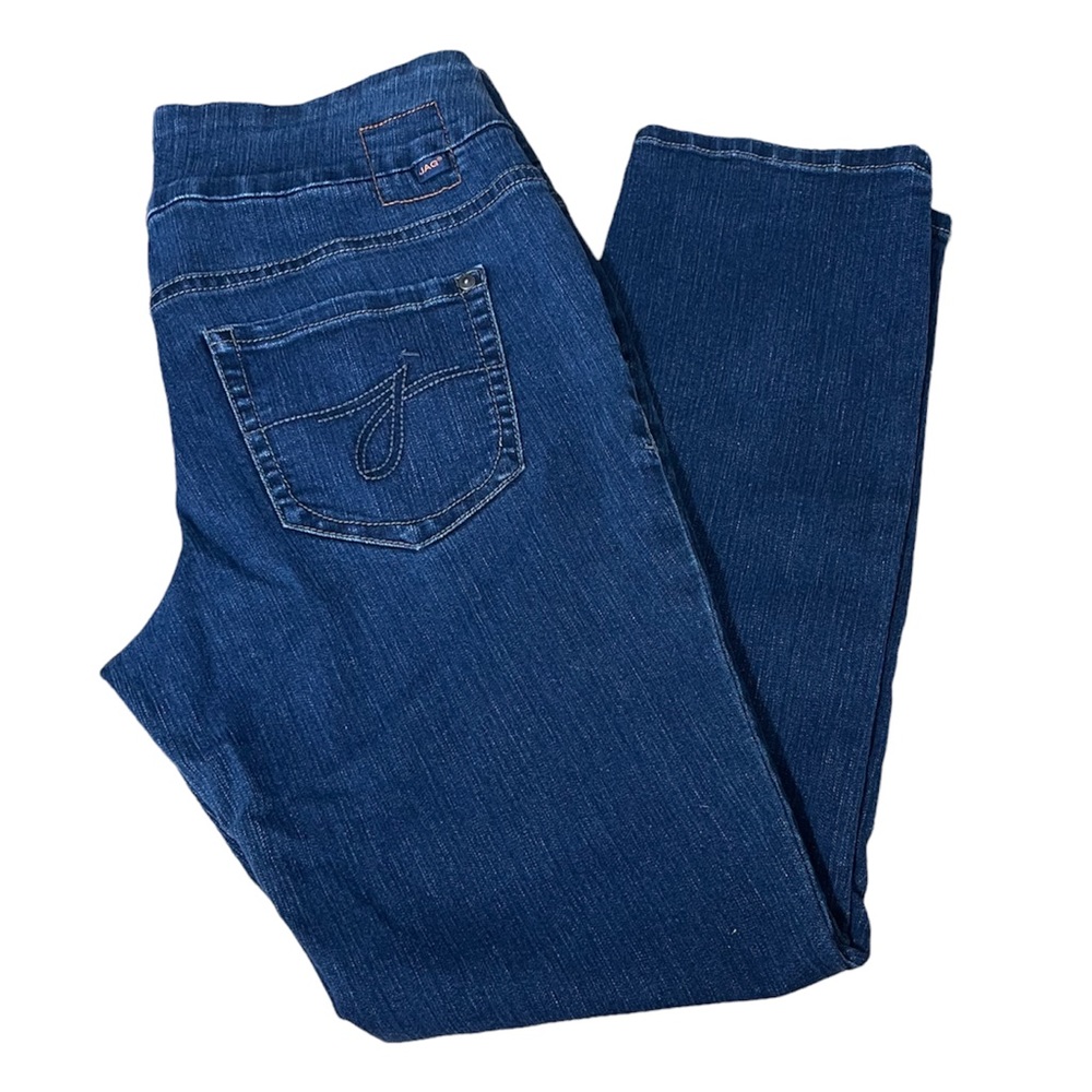 Jag Jeans Elastic Waist High Rise Dark Wash Size 10S